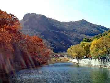 新澳天天开奖资料大全旅游团，天网泛目录